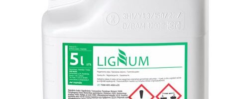 Lignum