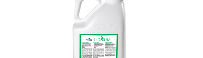 Lignum