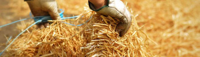 Straw remaining after harvest: how to accelerate its decomposition?