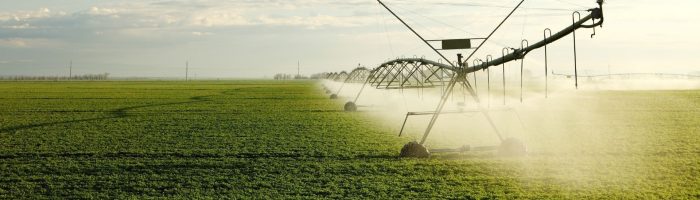 Trying to survive the fertilizer market chaos and the constraints of the Green Deal…