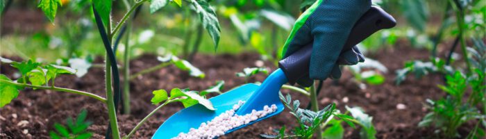 In the battle between biological and mineral fertilizers &#8211; friendly drawings